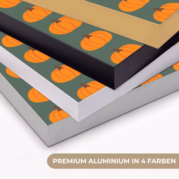 Pompoen - Patroon - Oranje Textielframe zwart klein 947 -USP_kleurenDE