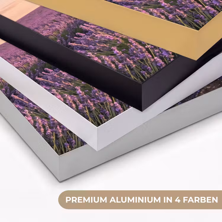 Landschap - Lavendelveld - Paars Textielframe zwart klein -USP_kleurenDE