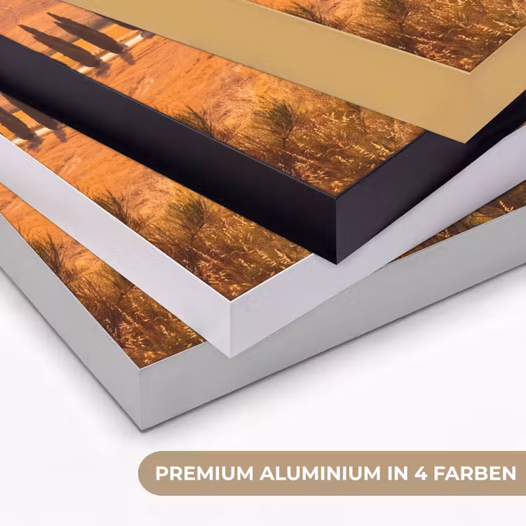 Landschap - Weg - Bomen - Natuur - Goud Textielframe zwart klein -USP_kleurenDE
