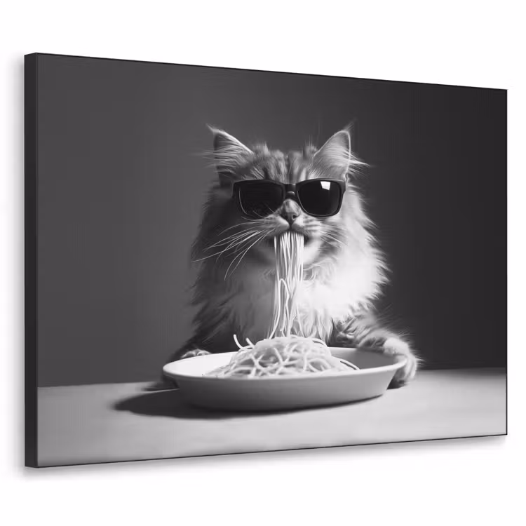 Langharige kat - Zonnebril - Spaghetti - Humor - Zwart - wit Textielframe zwart klein -3d
