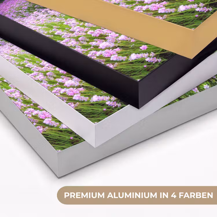 Lavendel - Bloemen - Zonsondergang - Paars - Weide Textielframe zwart klein -USP_kleurenDE