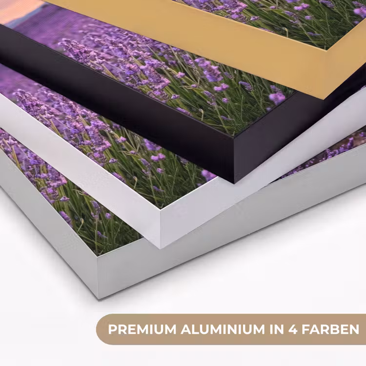 Lavendel - Veld - Natuur - Paars Textielframe zwart klein -USP_kleurenDE