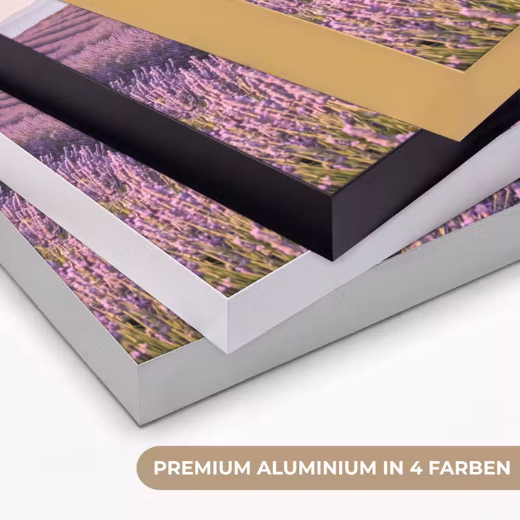 Lavendel - Landschap - Sereen - Paars Textielframe zwart klein -USP_kleurenDE