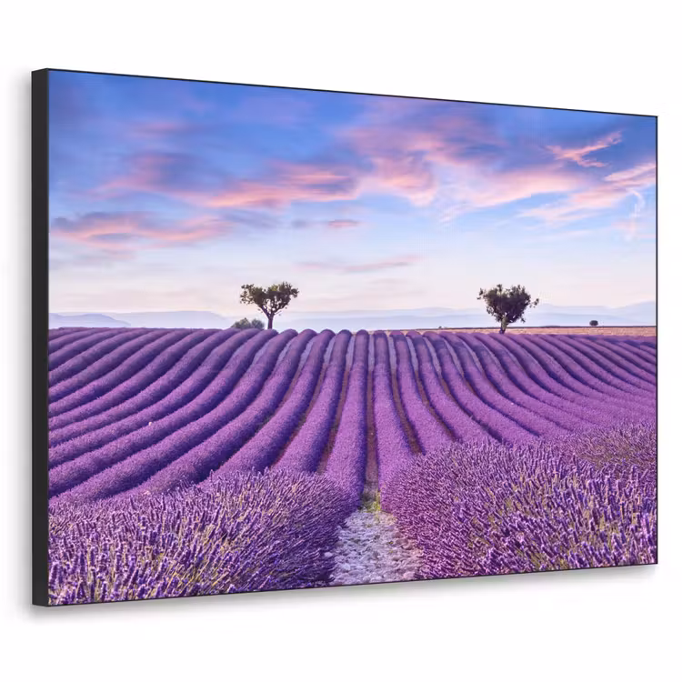 Lavendel - Natuur - Paars - Bomen - Bloemen Textielframe zwart klein -3d