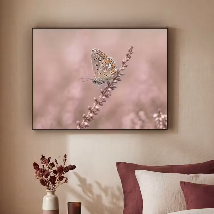Lavendel - Vlinder - Paars Textielframe zwart klein -sfeer1