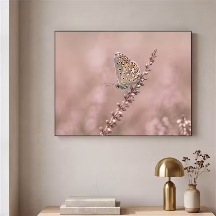 Lavendel - Vlinder - Paars Textielframe zwart klein -sfeer2