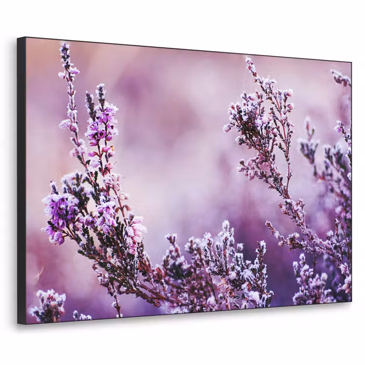 Lavendel - Winter - Bloemen - Paars Textielframe zwart klein -3d