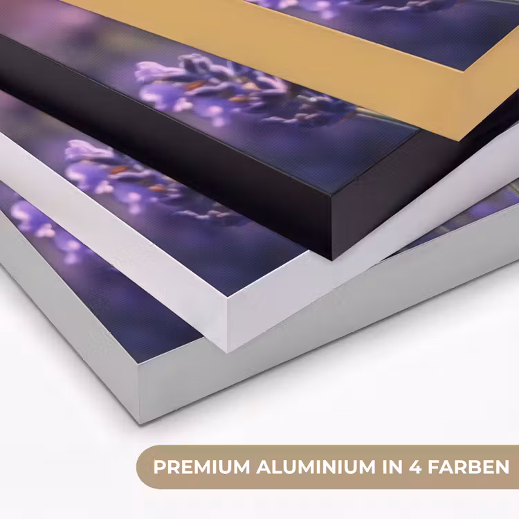 Lavendelbloemen - Paars - Zonlicht Textielframe zwart klein -USP_kleurenDE