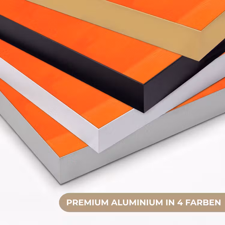 Luipaarden - Stippen - Oranje Textielframe zwart klein -USP_kleurenDE