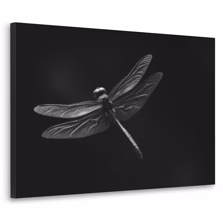 Libelle - Dieren - Zwart - Insect Textielframe - compleet frame klein -3d