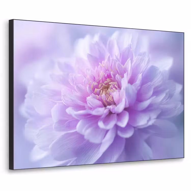 Paars - Dahlia - Dromerig Textielframe zwart klein -3d