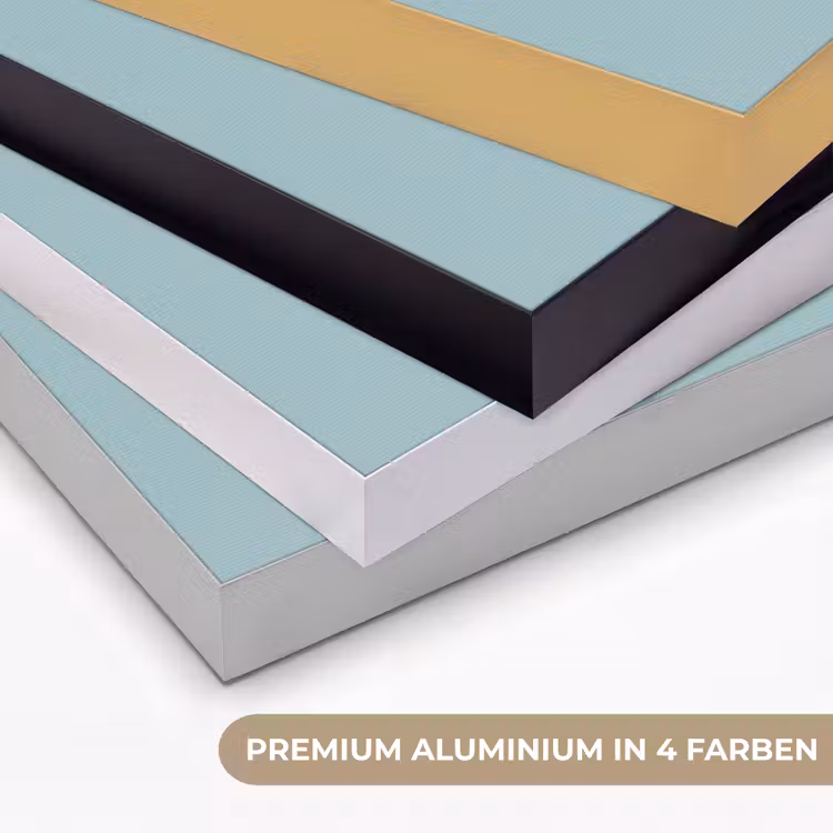 Lelie - Bloem - Paars - Stippen Textielframe zwart klein -USP_kleurenDE