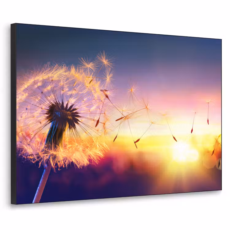 Paardenbloem - Bloemen - Zonsondergang - Horizon - Nacht Textielframe zwart klein -3d