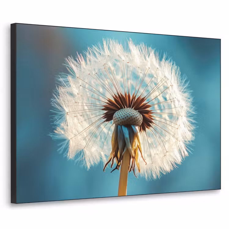 Paardenbloem - Natuur - Bloemen - Blauw Textielframe zwart klein -3d