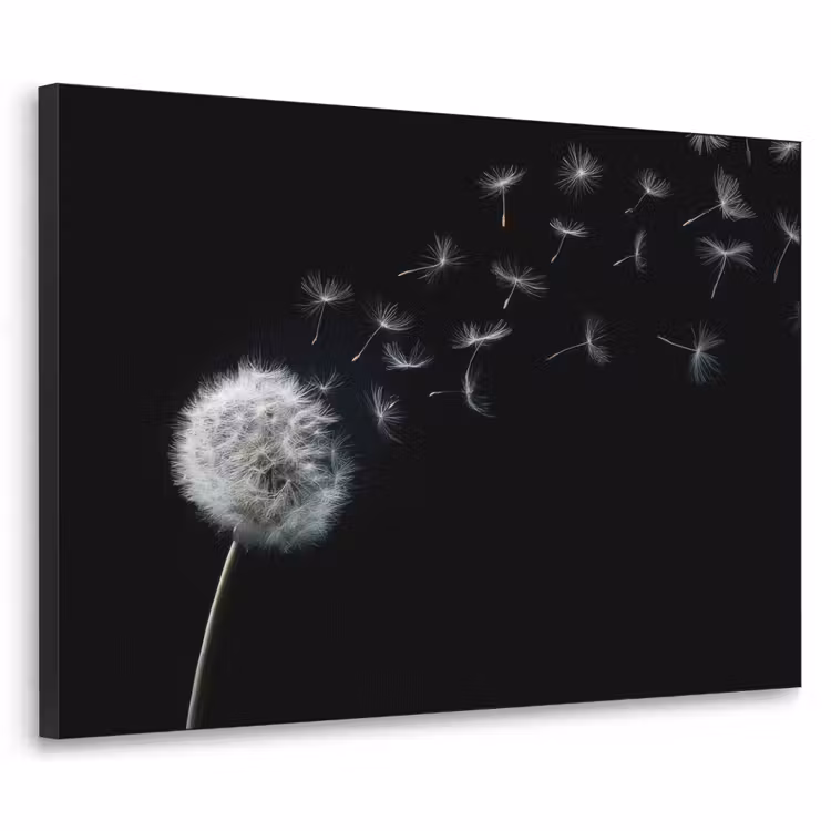 Paardenbloem - Zwart - Natuur Textielframe - compleet frame klein -3d