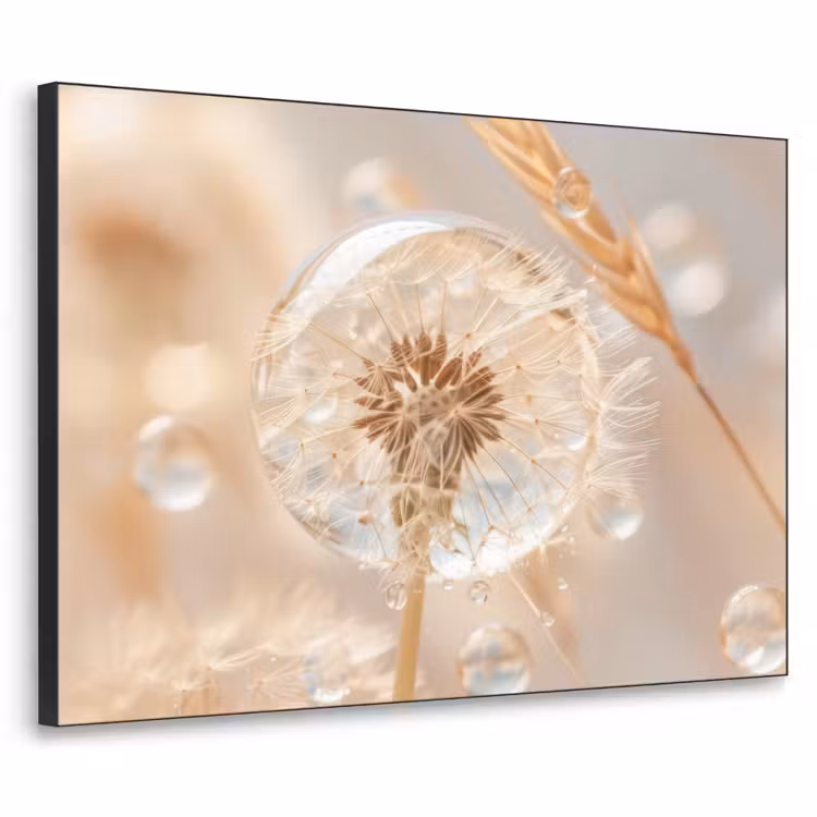 Paardenbloem - Water - Natuur - Stilleven - Modern Textielframe - compleet frame klein -3d