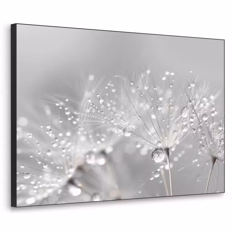 Paardenbloem - Waterdruppels - Stilleven - Modern Textielframe - compleet frame klein -3d