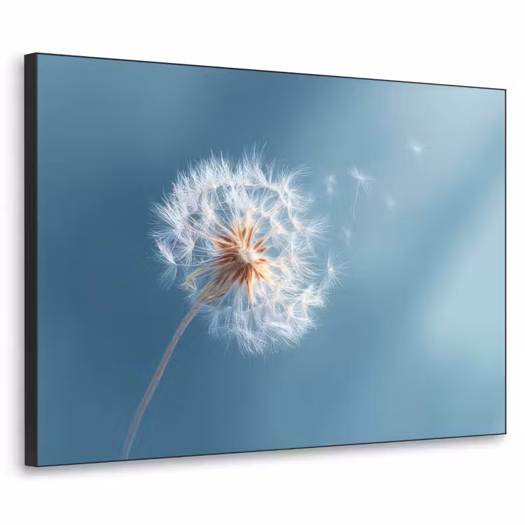 Paardenbloem - Wind - Blauw Textielframe zwart klein -3d