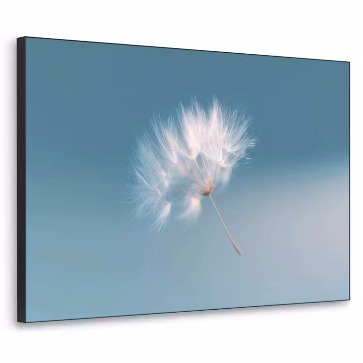 Paardenbloempluisje - Blauw - Lucht Textielframe - compleet frame klein -3d