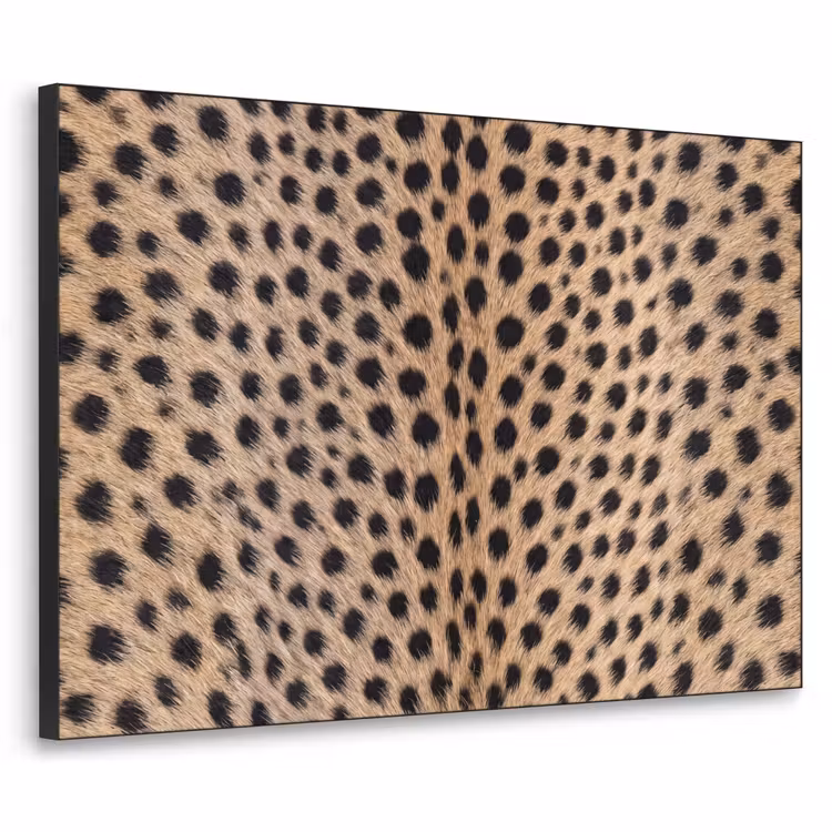 Vacht - Jachtluipaard - Zwart - Wit Textielframe zwart klein -3d