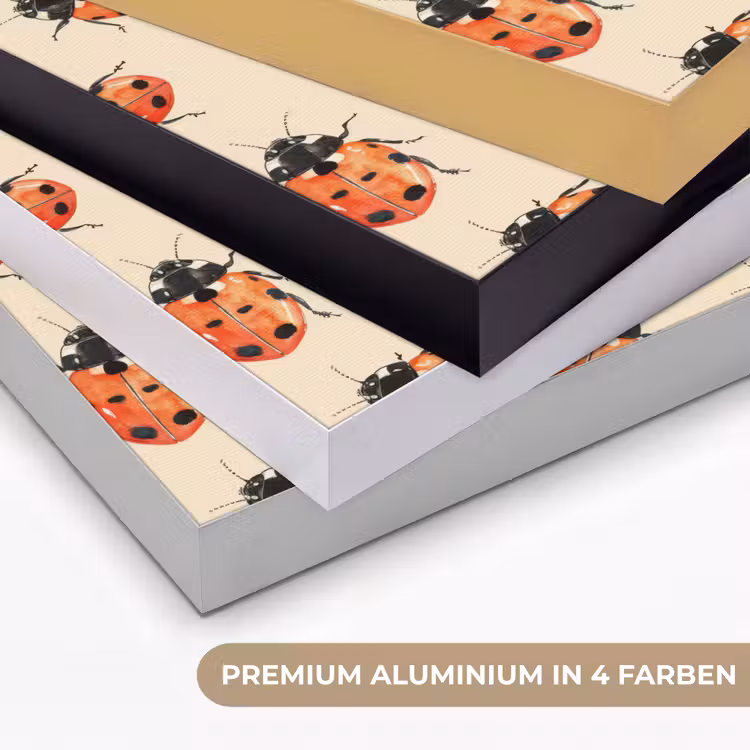 Lieveheersbeestjes - Patroon - Rood Textielframe zwart klein 947 -USP_kleurenDE