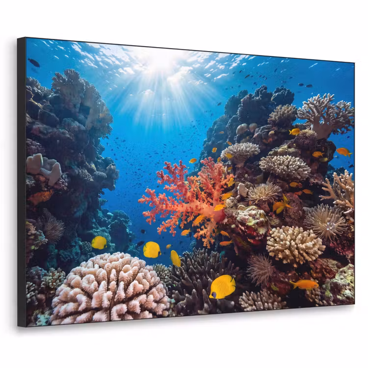 Zee - Koraalrif - Natuur - Levendig - Blauw Textielframe zwart klein -3d