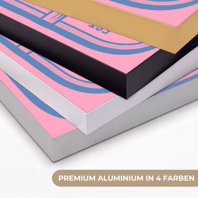 Meermin - Sardineblik - Illustratie - Roze - Retro Textielframe zwart klein -USP_kleurenDE