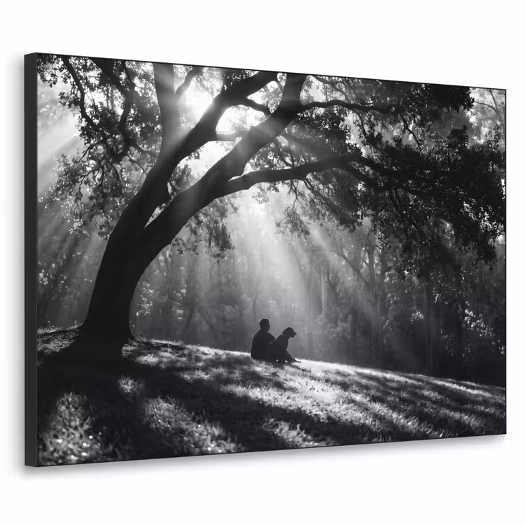 Mens - Hond - Natuur - Zwart-wit - Silhouet Textielframe zwart klein -3d