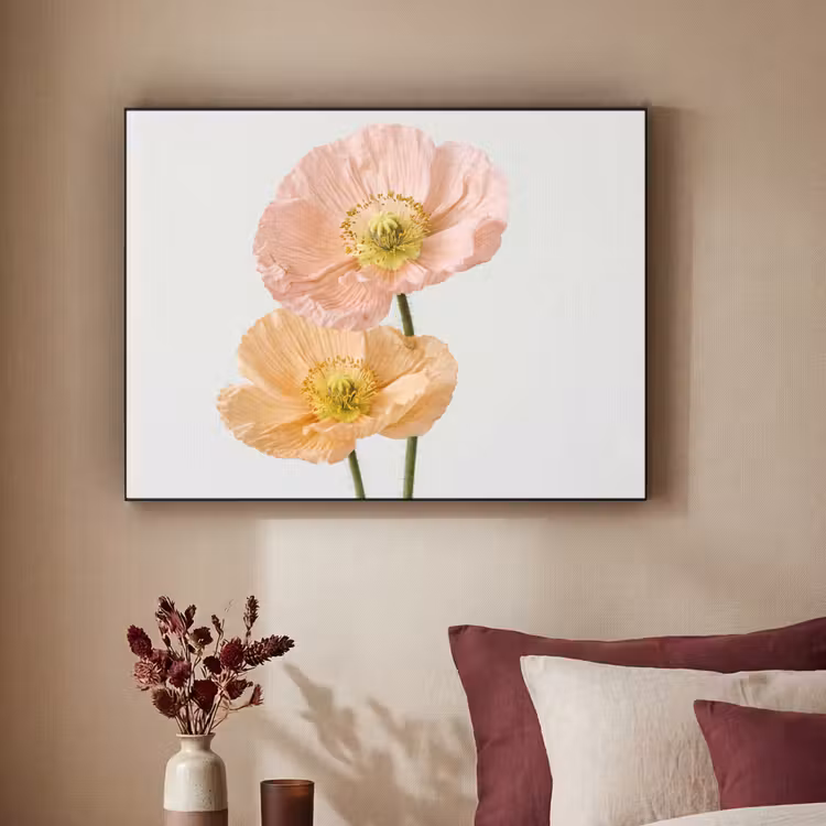 Papavers - Botanisch - Roze Textielframe zwart klein -sfeer1
