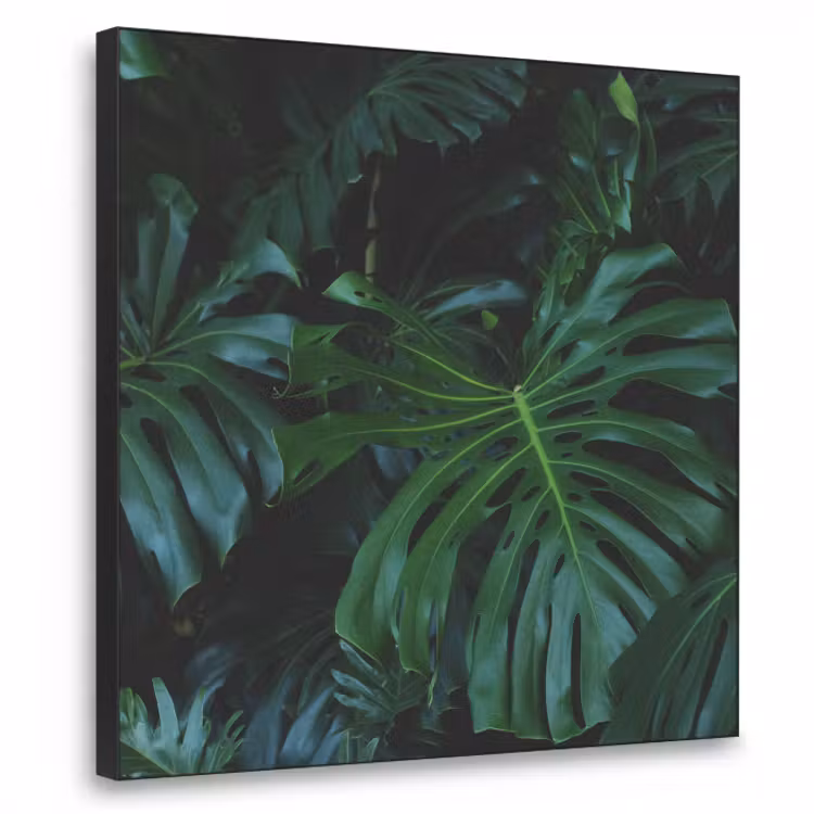 tropical-inductiebeschermer-cm-kd9sh3i5hfkutycg-1-1-textielframe-zwart-klein-3d.jpg
