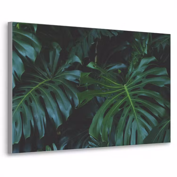 tropical-inductiebeschermer-cm-fbotidpmgqko0jor-textielframe-zilver-klein-3d.jpg