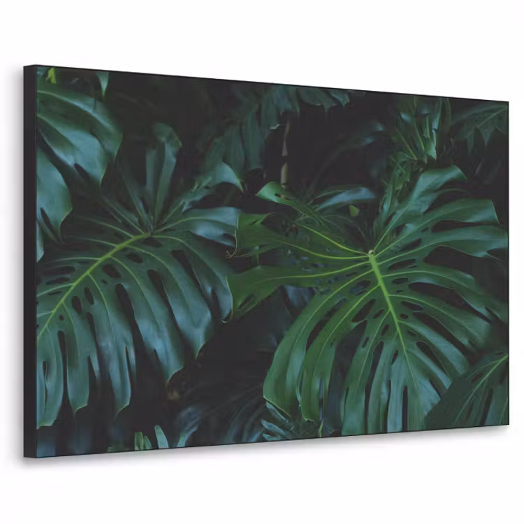 tropical-inductiebeschermer-cm-fbotidpmgqko0jor-textielframe-zwart-middel-3d.jpg