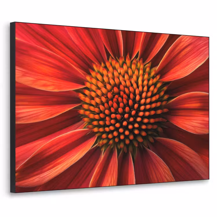 Close up - Bloem- Rood Textielframe zwart klein -3d