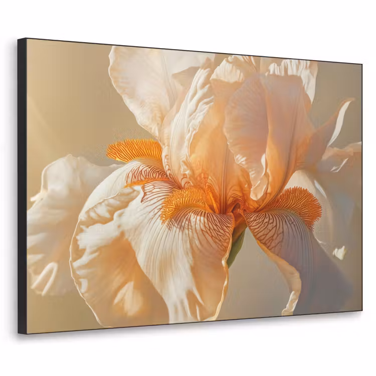 Close up - Oranje - Iris Textielframe zwart klein -3d