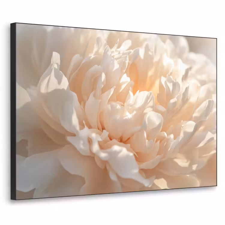 Close up - Pioenroos - Lichtroze Textielframe zwart klein -3d