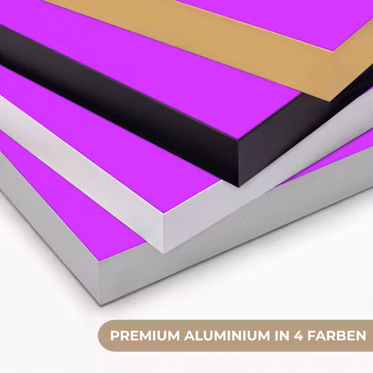 Neon - Orchid - Paars Textielframe zwart klein 947 -USP_kleurenDE