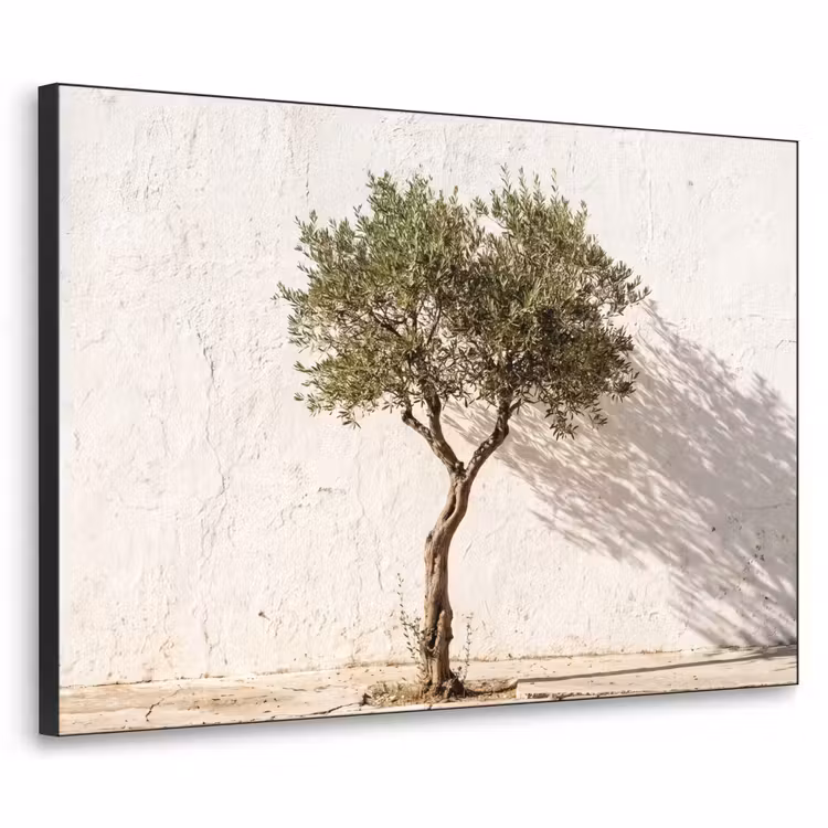 Art Frame - Olivenbaum – Wand – weiß - Olijfboom - muur - wit Textielframe zwart klein