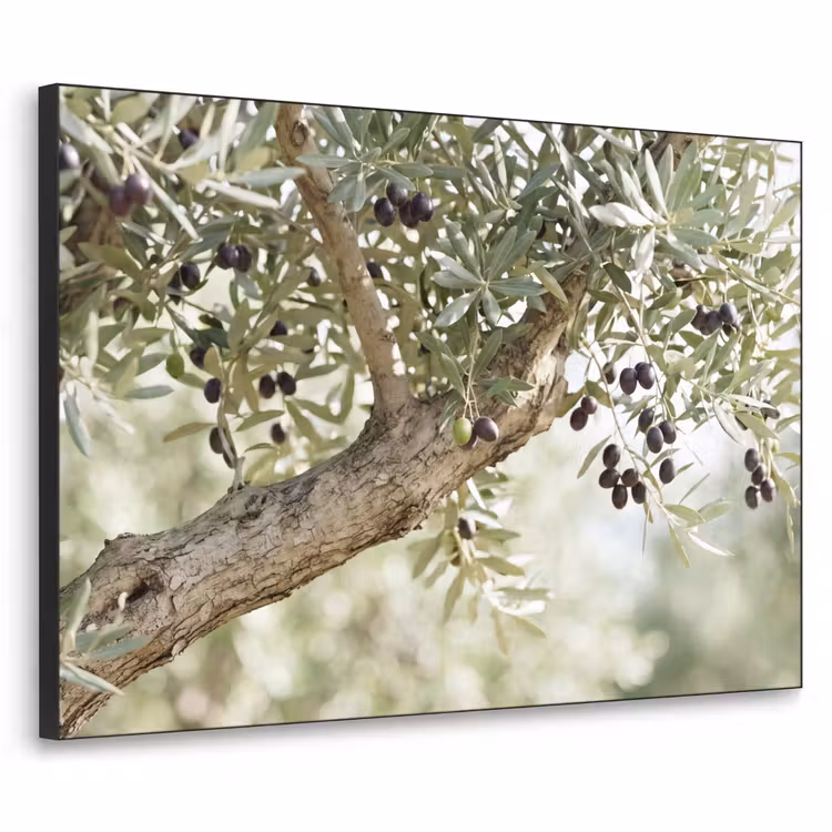Art Frame - Olivenbaum – Zweig – grün - Olijfboom - tak - groen Textielframe zwart klein
