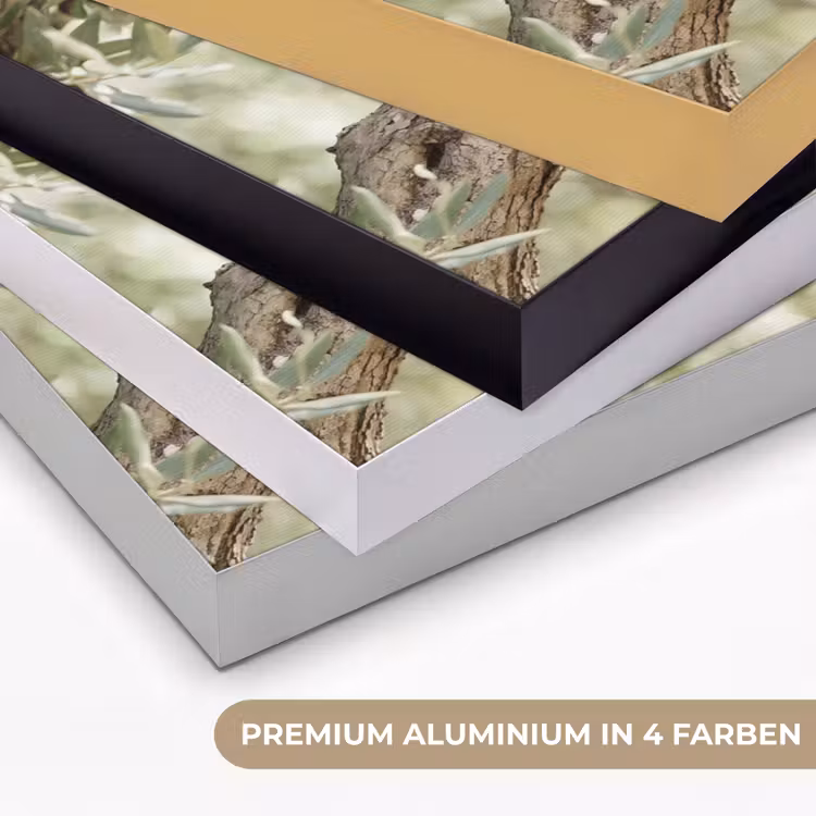 Art Frame - Olivenbaum – Zweig – grün - Olijfboom - tak - groen Textielframe zwart klein