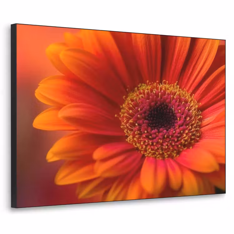Oranje - Gerbera - Intens Textielframe - compleet frame klein -3d