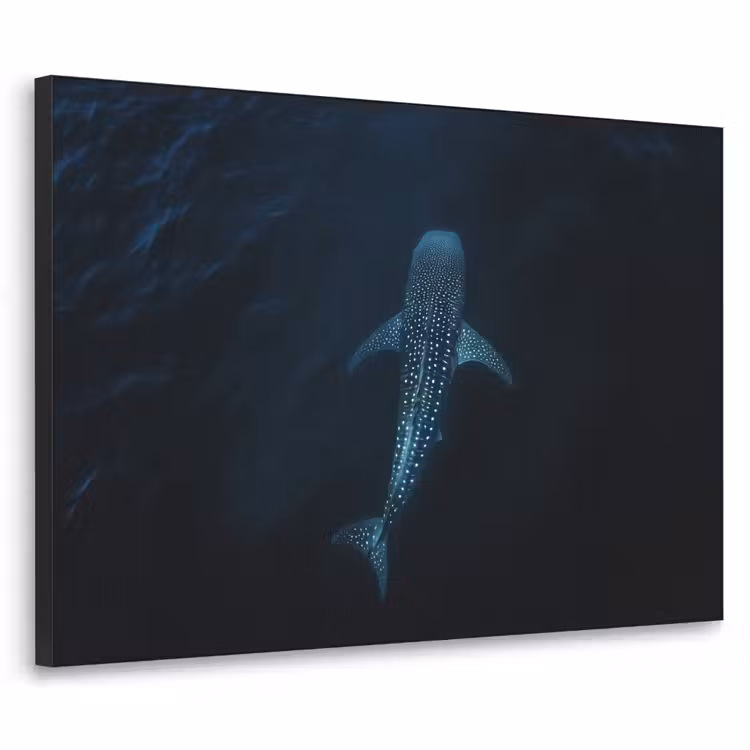 Oceaan - Walvishaai - Donkerblauw - Vlekken Textielframe - compleet frame klein -3d
