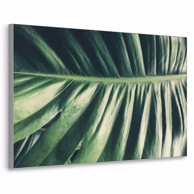 tropical-inductiebeschermer-cm-uuofmpmeuusbpryo-textielframe-zilver-klein-3d.jpg