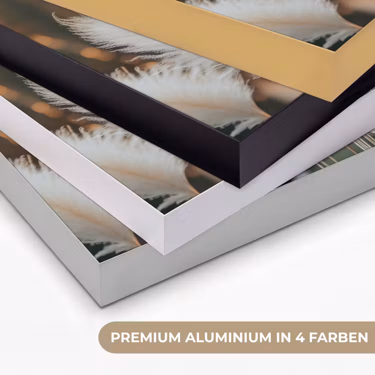Pampasgras - Pluimen - Sierlijk Textielframe zwart klein -USP_kleurenDE