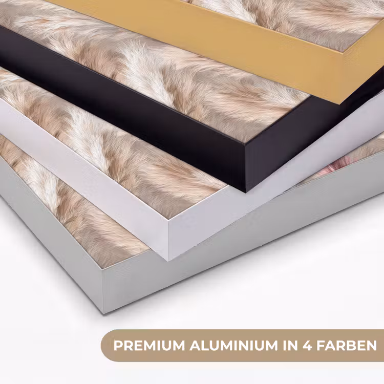 Pampasgras - Pluizig - Kleurrijk Textielframe zwart klein 947 -USP_kleurenDE