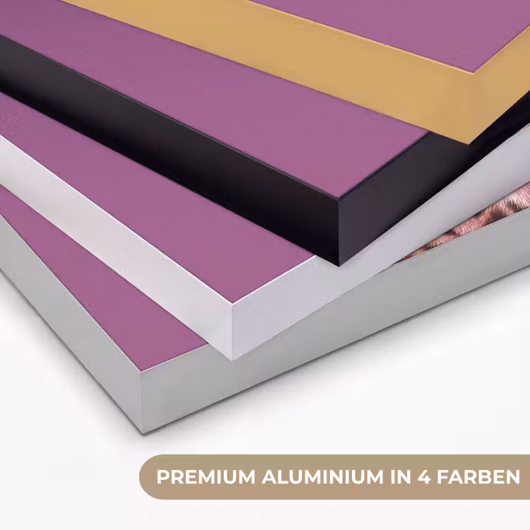 Panter - Zonnebril - Kauwgombel - Roze Textielframe zwart klein -USP_kleurenDE