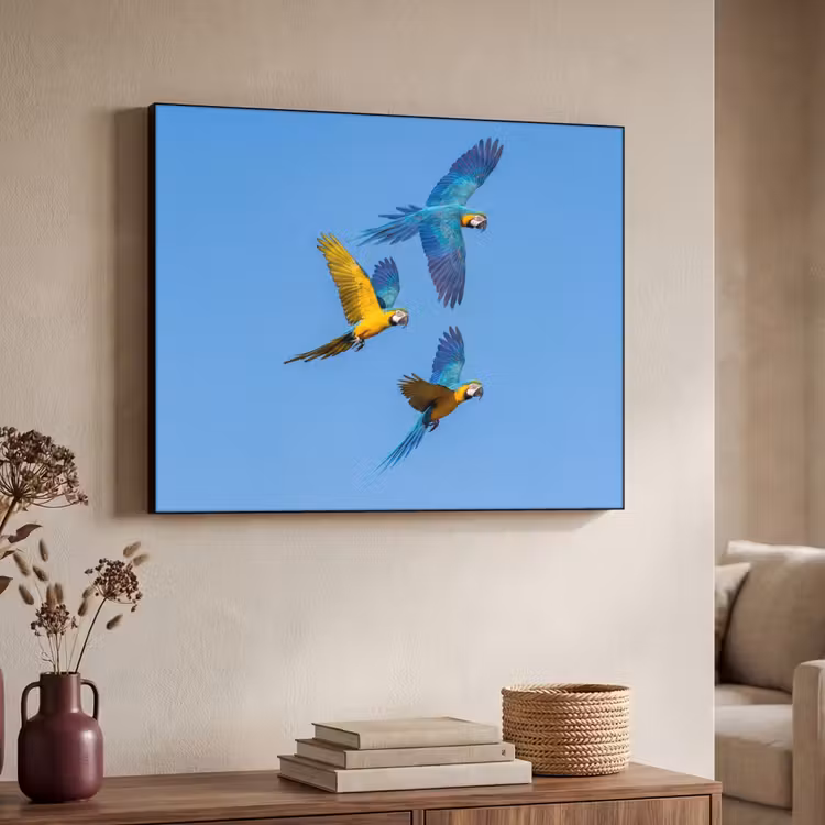 Papagaai - Vliegen - Blauw - Geel Textielframe zwart klein -sfeer3