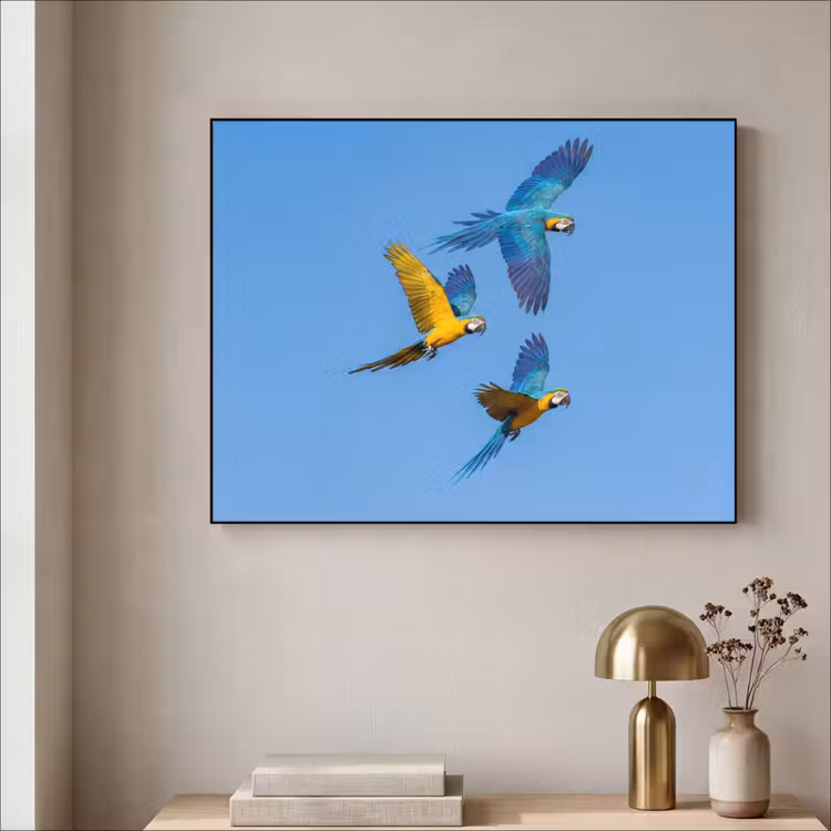 Papagaai - Vliegen - Blauw - Geel Textielframe zwart klein -sfeer2