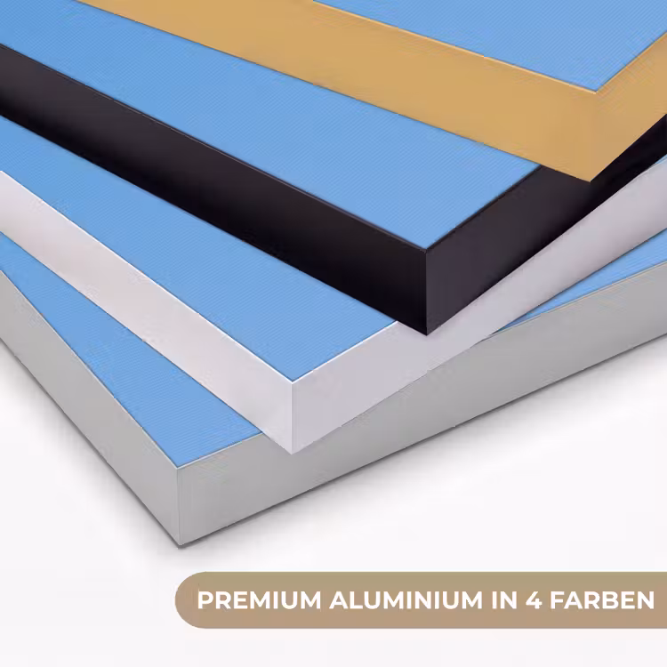 Papagaai - Vliegen - Blauw - Geel Textielframe zwart klein -USP_kleurenDE