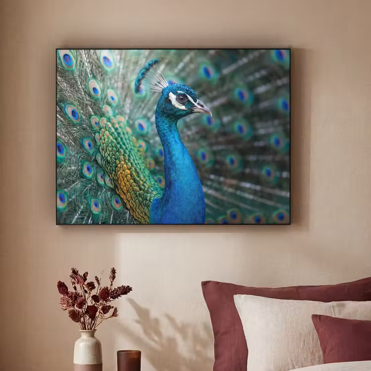 Pauw - Veren - Blauw Textielframe zwart klein -sfeer1
