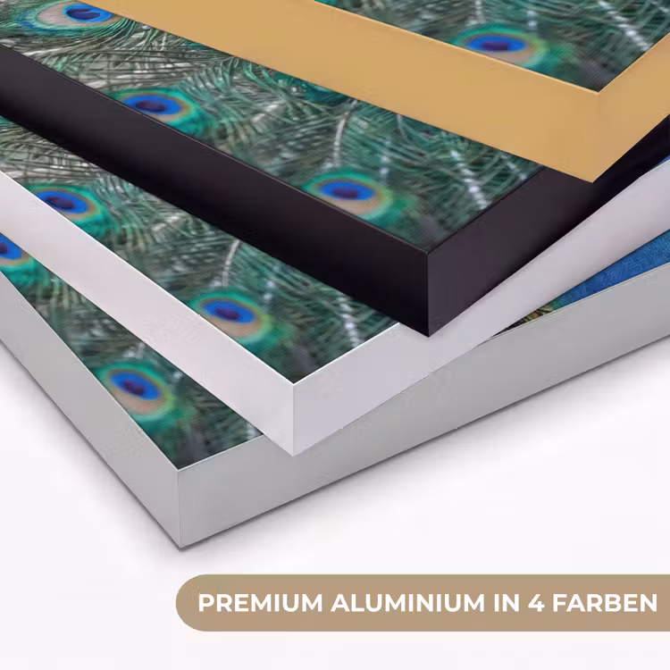 Pauw - Veren - Blauw Textielframe zwart klein -USP_kleurenDE